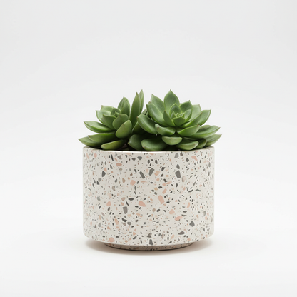 Terrazzo decorative pot with succulent